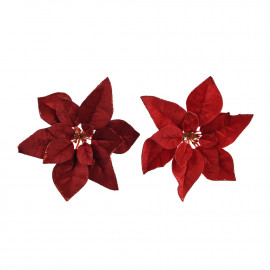 Mikulásvirág csipeszes