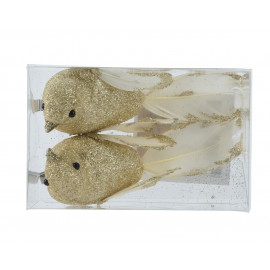 Arany csipeszes madár